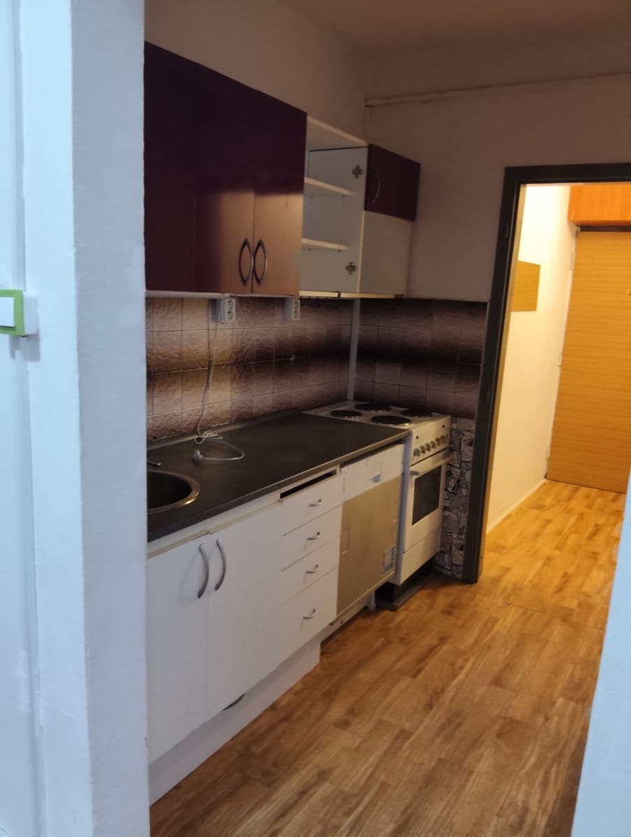1 bedroom with open-plan kitchen flat to rent, 48 m², Pejevové, Prague, Prague 1 bedroom with open-plan kitchen flat to rent, 48 m², Pejevové, Prague, Prague