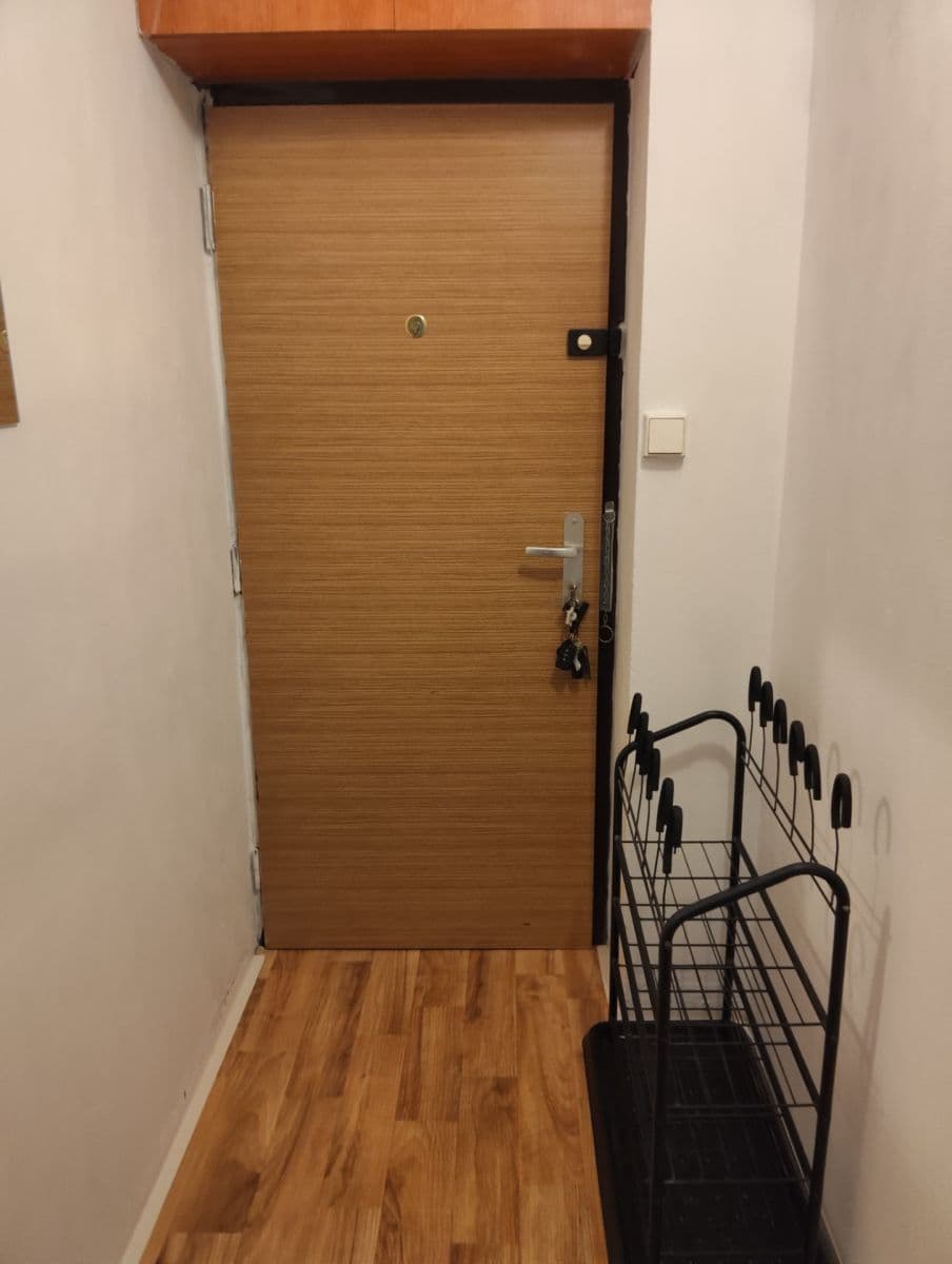 1 bedroom with open-plan kitchen flat to rent, 48 m², Pejevové, Prague, Prague 1 bedroom with open-plan kitchen flat to rent, 48 m², Pejevové, Prague, Prague
