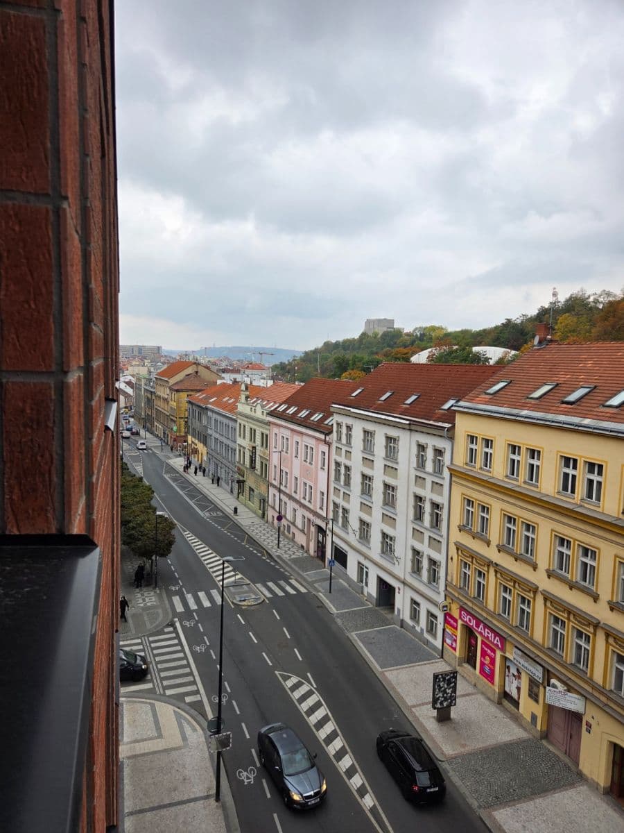 1 bedroom with open-plan kitchen flat to rent, 54 m², Hartigova, Prague, Prague 1 bedroom with open-plan kitchen flat to rent, 54 m², Hartigova, Prague, Prague