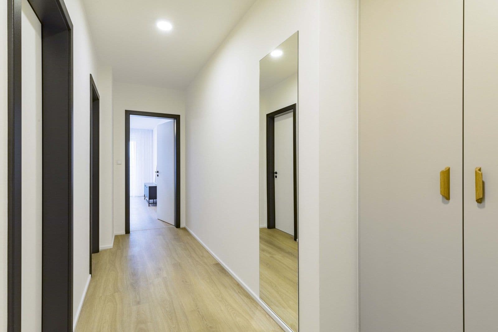 1 bedroom with open-plan kitchen flat to rent, 55 m², U Pergamenky, Prague, Prague 1 bedroom with open-plan kitchen flat to rent, 55 m², U Pergamenky, Prague, Prague