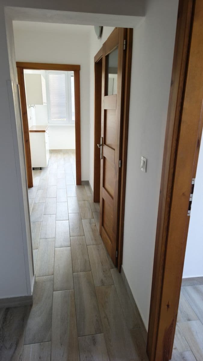 2 bedroom with open-plan kitchen flat to rent, 58 m², Pod Strání, Prague, Prague 2 bedroom with open-plan kitchen flat to rent, 58 m², Pod Strání, Prague, Prague