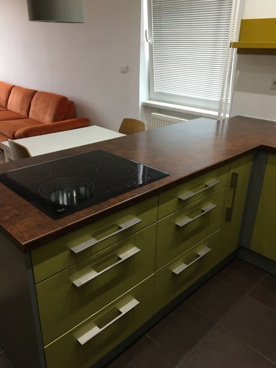 1 bedroom with open-plan kitchen flat to rent, 55 m², Zdeňka Štěpánka, Rakovník, Středočeský Region 1 bedroom with open-plan kitchen flat to rent, 55 m², Zdeňka Štěpánka, Rakovník, Středočeský Region