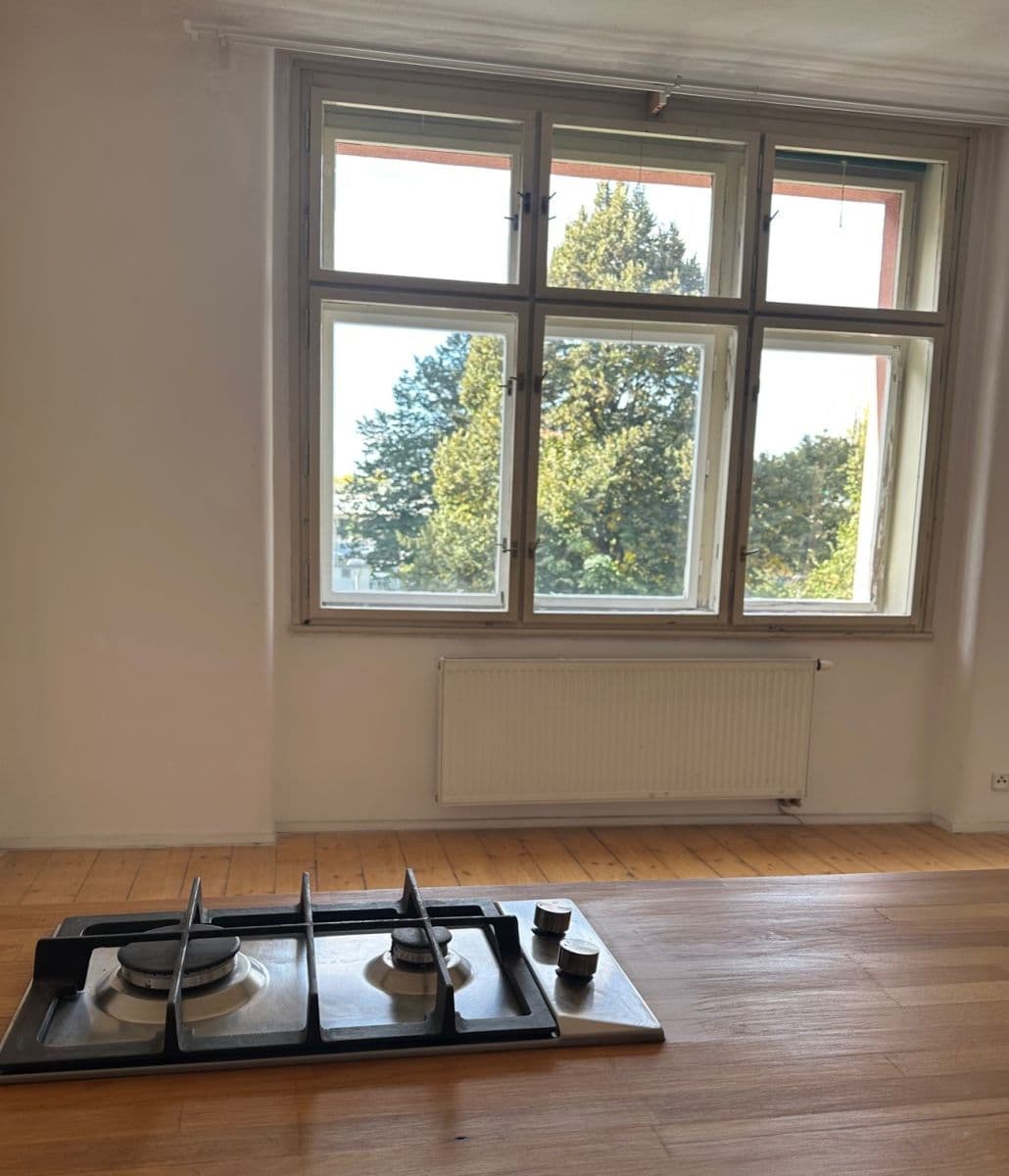 1 bedroom with open-plan kitchen flat to rent, 80 m², U Vody, Prague, Prague 1 bedroom with open-plan kitchen flat to rent, 80 m², U Vody, Prague, Prague