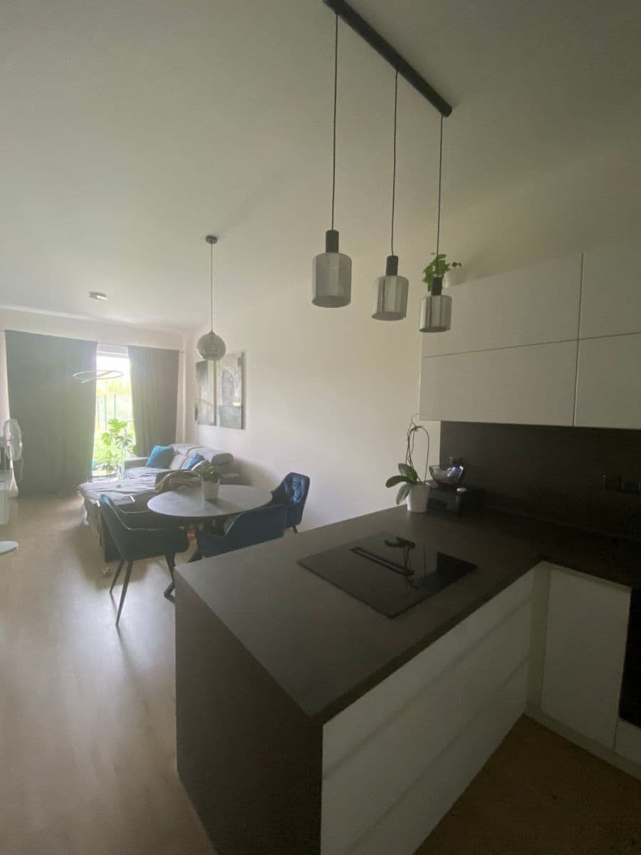 1 bedroom with open-plan kitchen flat to rent, 59 m², Velvarská, Horoměřice, Středočeský Region 1 bedroom with open-plan kitchen flat to rent, 59 m², Velvarská, Horoměřice, Středočeský Region