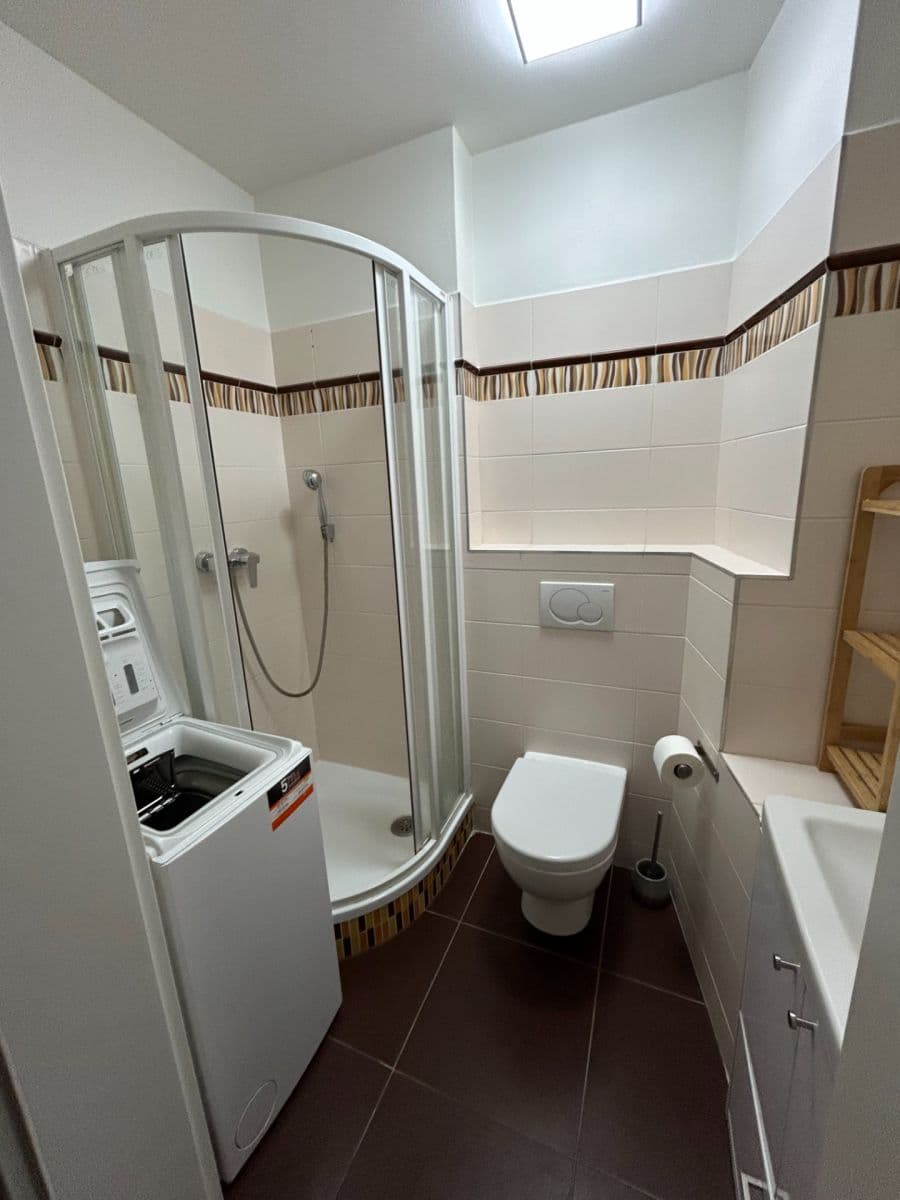 1 bedroom with open-plan kitchen flat for sale, 45 m², Bořivojova, Prague, Prague 1 bedroom with open-plan kitchen flat for sale, 45 m², Bořivojova, Prague, Prague