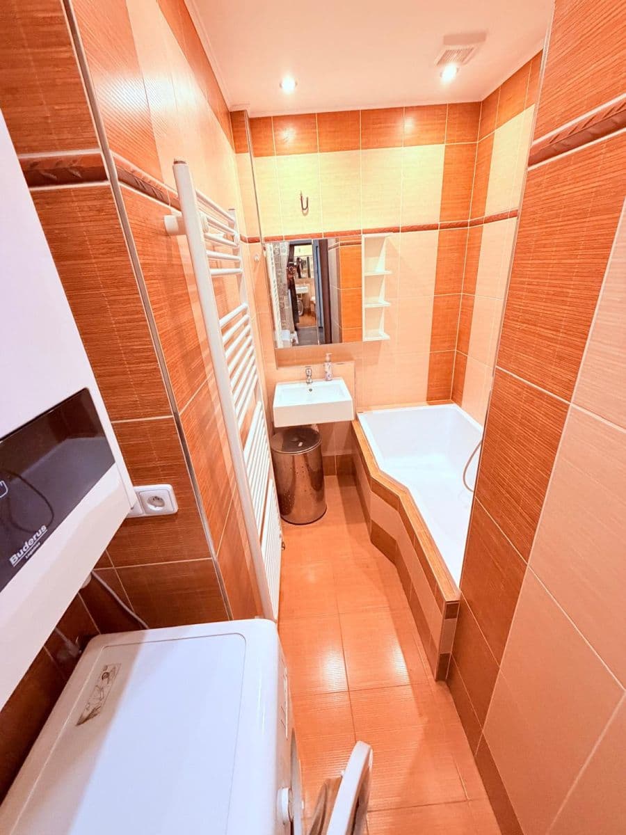 1 bedroom with open-plan kitchen flat to rent, 52 m², Na Jezerce, Prague, Prague 1 bedroom with open-plan kitchen flat to rent, 52 m², Na Jezerce, Prague, Prague