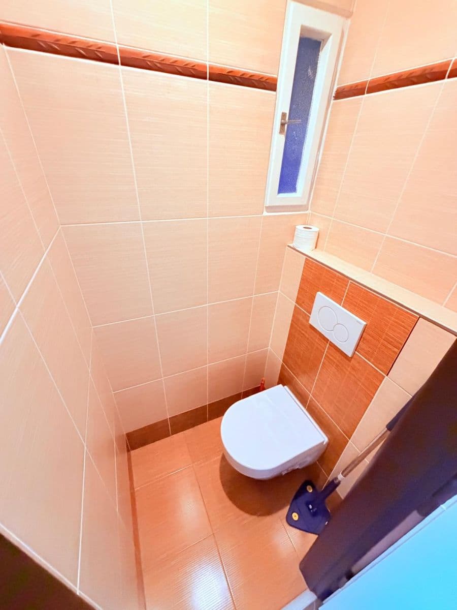 1 bedroom with open-plan kitchen flat to rent, 52 m², Na Jezerce, Prague, Prague 1 bedroom with open-plan kitchen flat to rent, 52 m², Na Jezerce, Prague, Prague