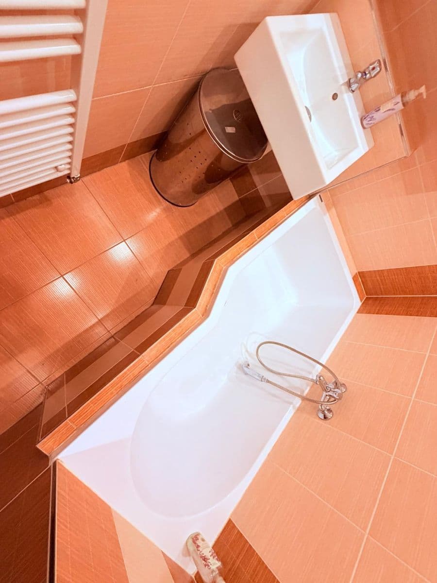 1 bedroom with open-plan kitchen flat to rent, 52 m², Na Jezerce, Prague, Prague 1 bedroom with open-plan kitchen flat to rent, 52 m², Na Jezerce, Prague, Prague