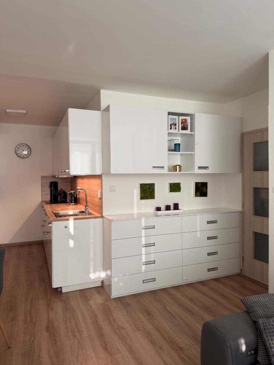 2 bedroom with open-plan kitchen flat for sale, 55 m², Bohúňova, Prague, Prague 2 bedroom with open-plan kitchen flat for sale, 55 m², Bohúňova, Prague, Prague