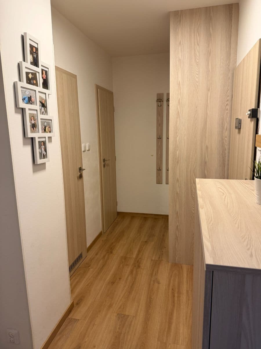 2 bedroom with open-plan kitchen flat for sale, 55 m², Bohúňova, Prague, Prague 2 bedroom with open-plan kitchen flat for sale, 55 m², Bohúňova, Prague, Prague