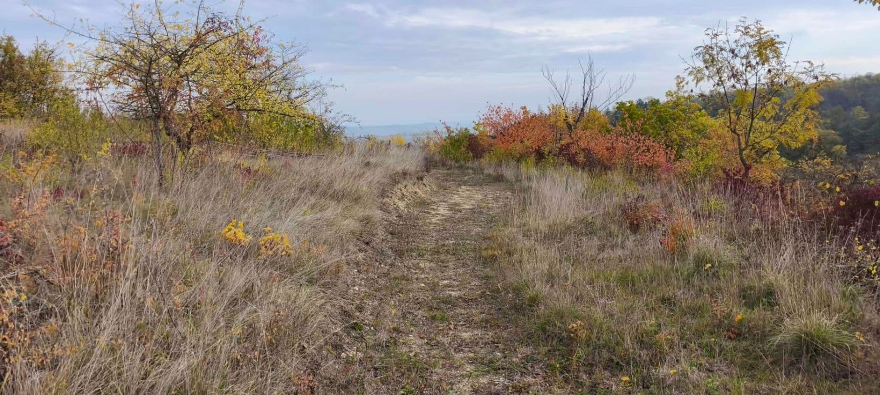 plot for sale, 5,326 m², Libochovice, Ústecký Region plot for sale, 5,326 m², Libochovice, Ústecký Region