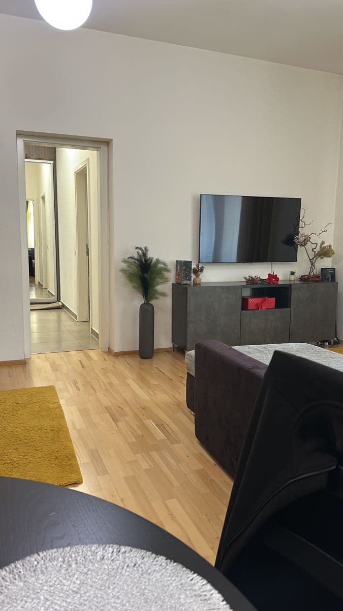 1 bedroom with open-plan kitchen flat to rent, 54 m², Tyršova, Prague, Prague 1 bedroom with open-plan kitchen flat to rent, 54 m², Tyršova, Prague, Prague