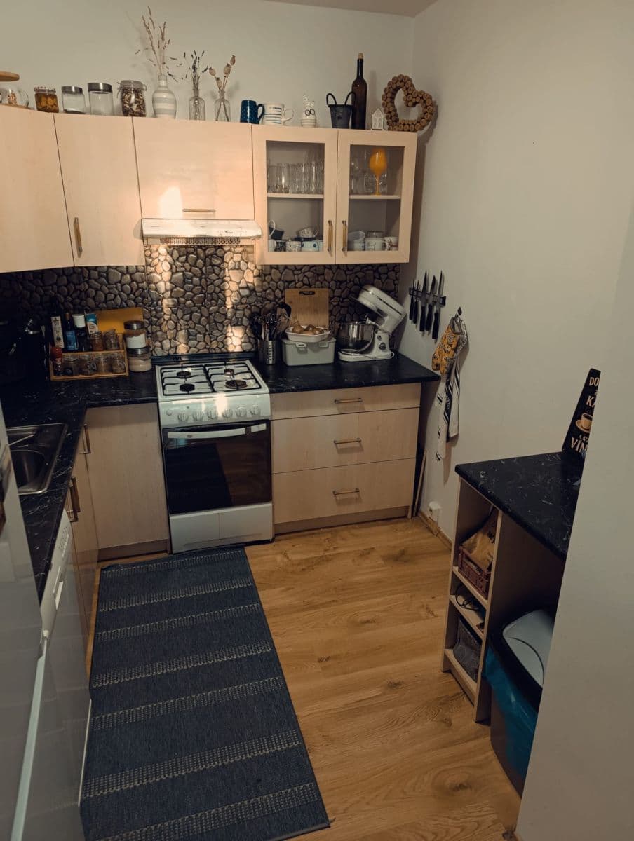 2 bedroom with open-plan kitchen flat to rent, 65 m², Tererova, Prague, Prague 2 bedroom with open-plan kitchen flat to rent, 65 m², Tererova, Prague, Prague