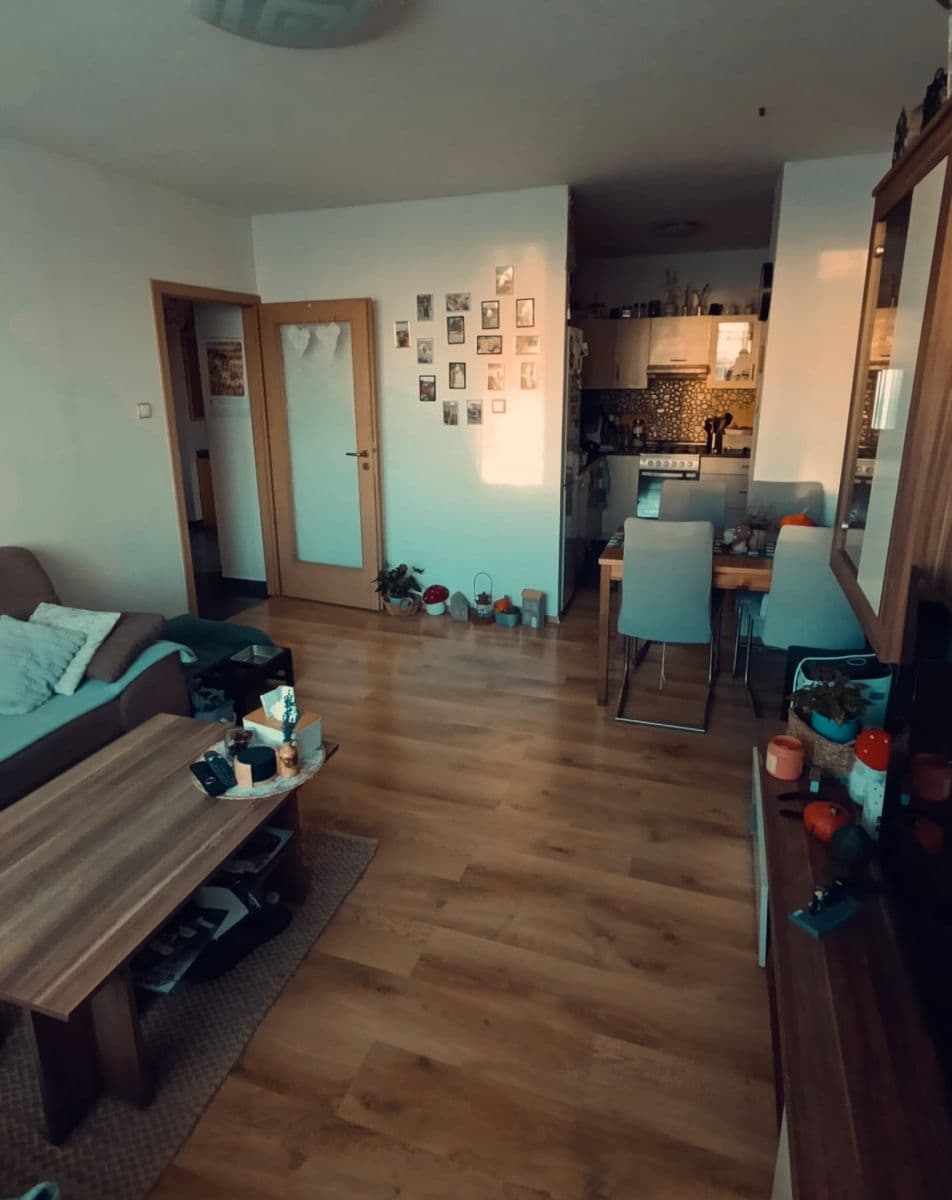 2 bedroom with open-plan kitchen flat to rent, 65 m², Tererova, Prague, Prague 2 bedroom with open-plan kitchen flat to rent, 65 m², Tererova, Prague, Prague