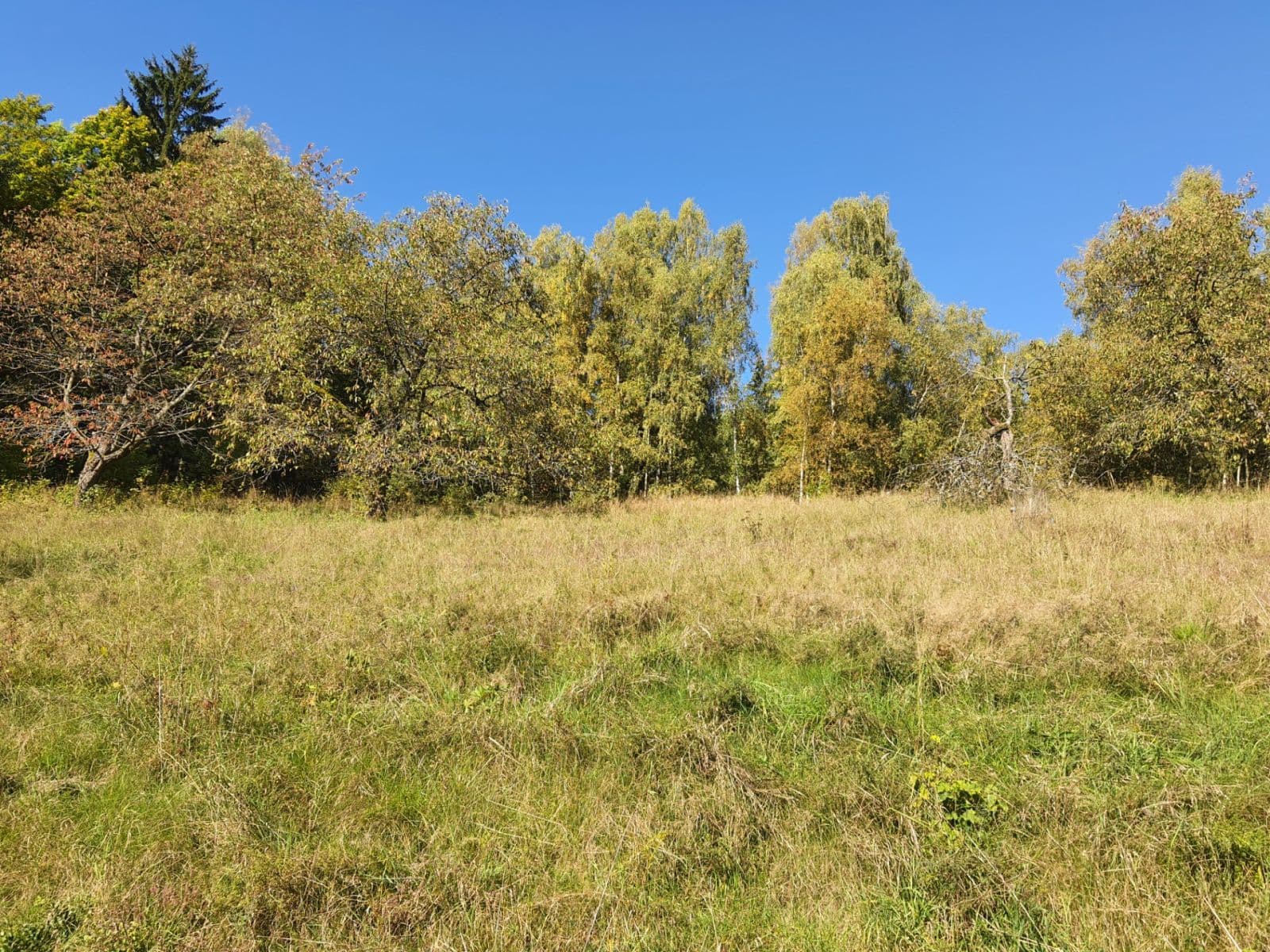 plot for sale, 3,362 m², Jablonec nad Jizerou, Liberecký Region plot for sale, 3,362 m², Jablonec nad Jizerou, Liberecký Region