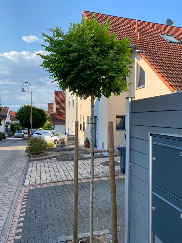 3 bedroom flat to rent, 69 m², Bindweidring 1, Karben, Hesse 3 bedroom flat to rent, 69 m², Bindweidring 1, Karben, Hesse
