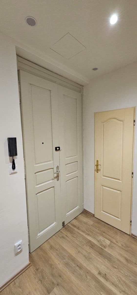 1 bedroom with open-plan kitchen flat to rent, 46 m², Primátorská, Prague, Prague 1 bedroom with open-plan kitchen flat to rent, 46 m², Primátorská, Prague, Prague