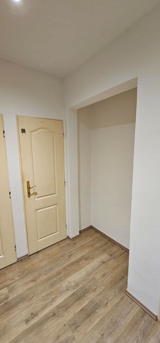 1 bedroom with open-plan kitchen flat to rent, 46 m², Primátorská, Prague, Prague 1 bedroom with open-plan kitchen flat to rent, 46 m², Primátorská, Prague, Prague