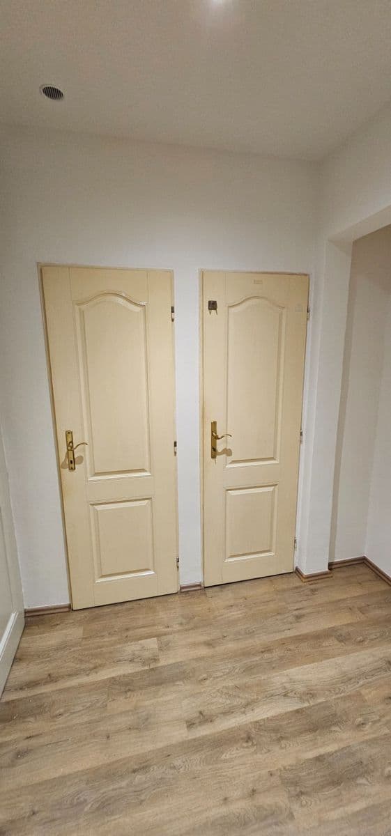 1 bedroom with open-plan kitchen flat to rent, 46 m², Primátorská, Prague, Prague 1 bedroom with open-plan kitchen flat to rent, 46 m², Primátorská, Prague, Prague