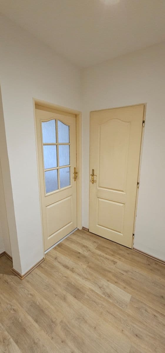 1 bedroom with open-plan kitchen flat to rent, 46 m², Primátorská, Prague, Prague 1 bedroom with open-plan kitchen flat to rent, 46 m², Primátorská, Prague, Prague