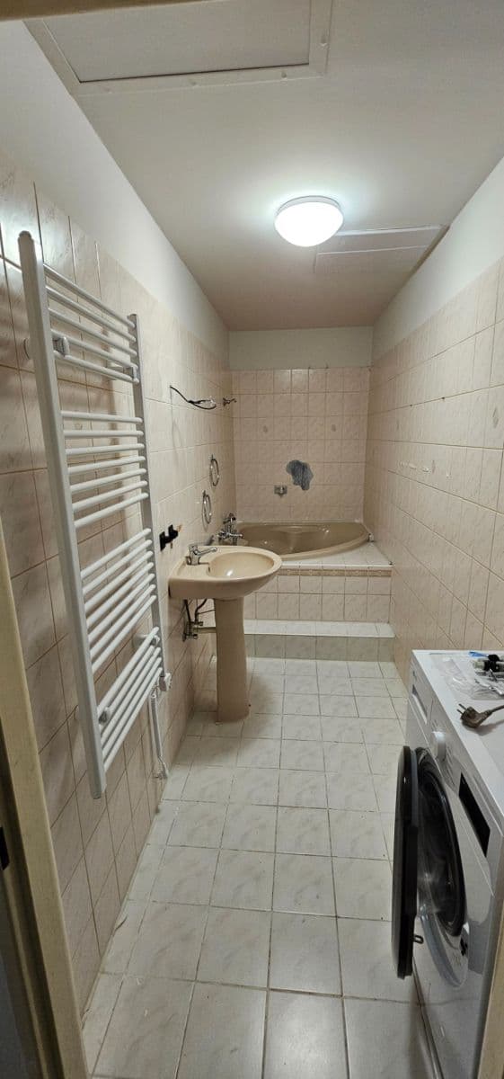1 bedroom with open-plan kitchen flat to rent, 46 m², Primátorská, Prague, Prague 1 bedroom with open-plan kitchen flat to rent, 46 m², Primátorská, Prague, Prague