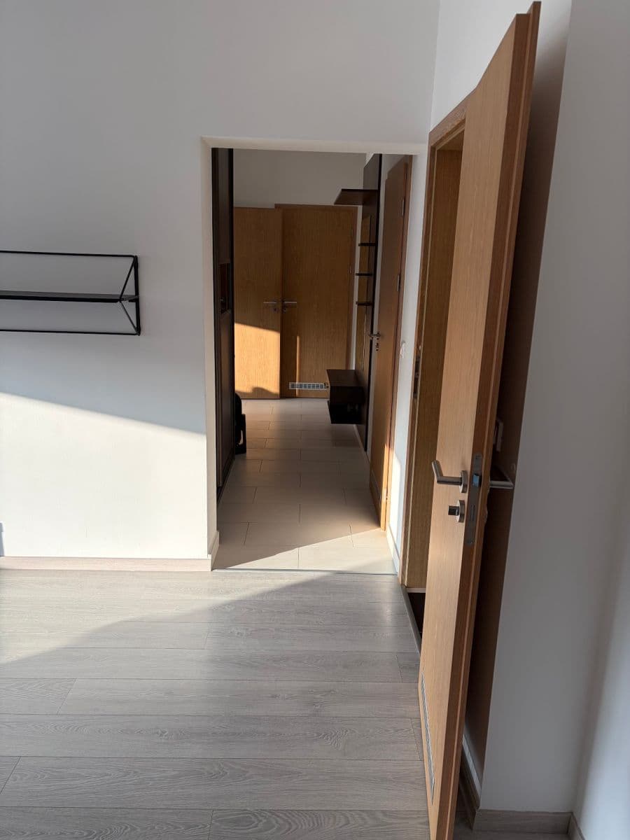 1 bedroom with open-plan kitchen flat to rent, 68 m², Hornoměcholupská, Prague, Prague 1 bedroom with open-plan kitchen flat to rent, 68 m², Hornoměcholupská, Prague, Prague