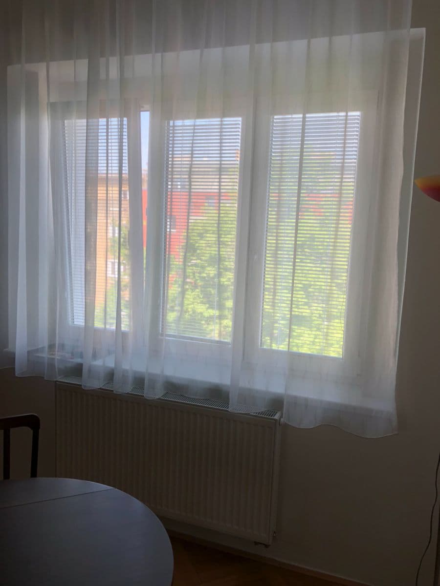 1 bedroom with open-plan kitchen flat for sale, 42 m², Hodonínská, Prague, Prague 1 bedroom with open-plan kitchen flat for sale, 42 m², Hodonínská, Prague, Prague