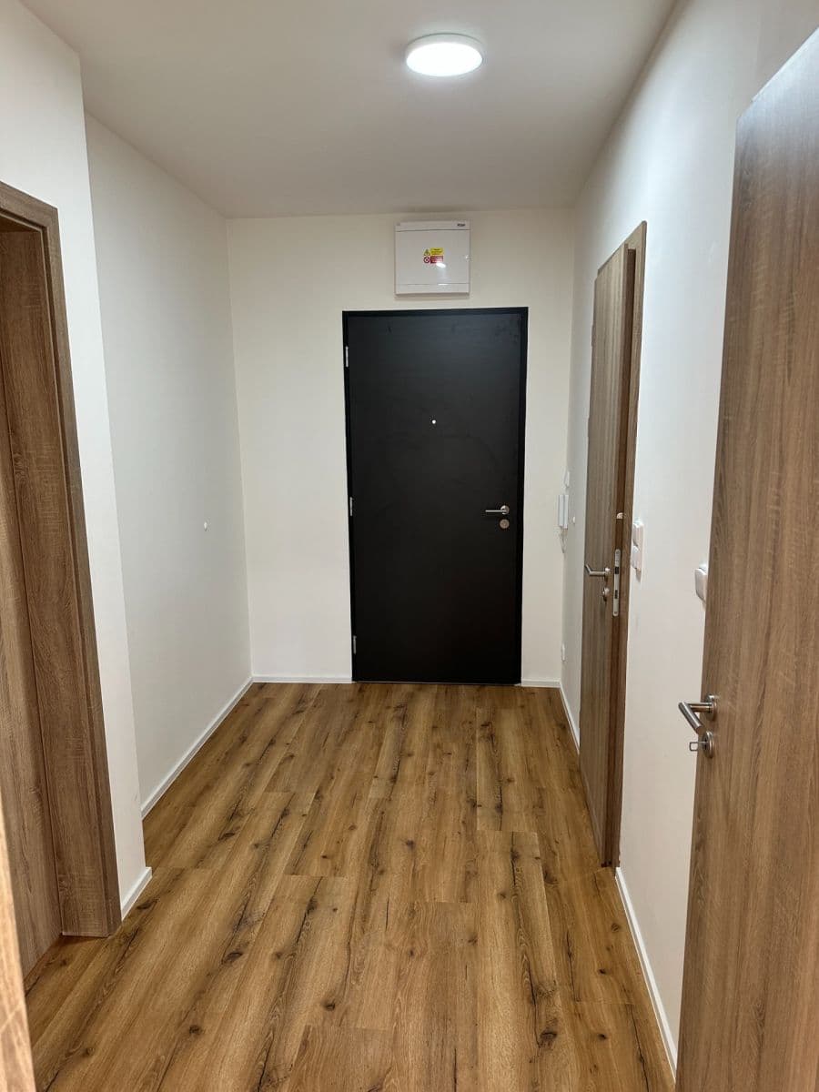 1 bedroom with open-plan kitchen flat to rent, 51 m², Gollové, Prague, Prague 1 bedroom with open-plan kitchen flat to rent, 51 m², Gollové, Prague, Prague