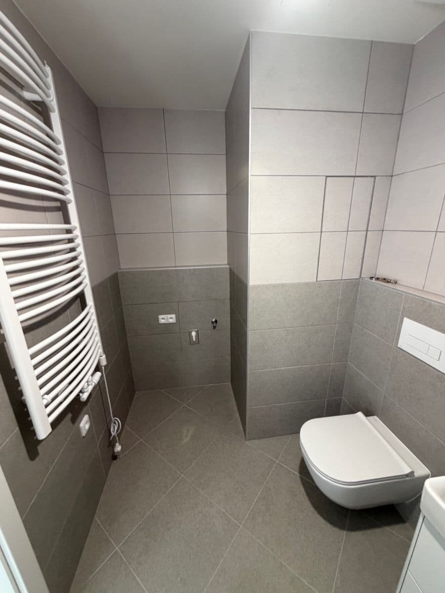 1 bedroom with open-plan kitchen flat to rent, 51 m², Gollové, Prague, Prague 1 bedroom with open-plan kitchen flat to rent, 51 m², Gollové, Prague, Prague
