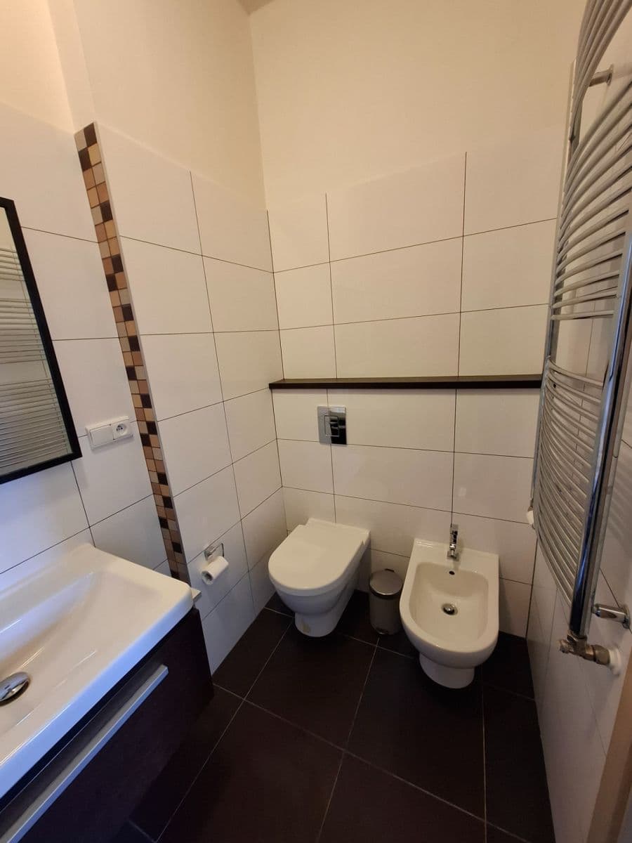 1 bedroom with open-plan kitchen flat to rent, 45 m², U Kanálky, Prague, Prague 1 bedroom with open-plan kitchen flat to rent, 45 m², U Kanálky, Prague, Prague