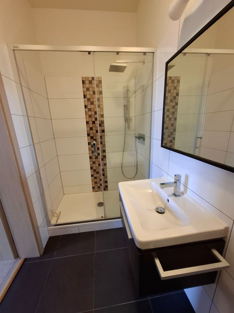 1 bedroom with open-plan kitchen flat to rent, 45 m², U Kanálky, Prague, Prague 1 bedroom with open-plan kitchen flat to rent, 45 m², U Kanálky, Prague, Prague
