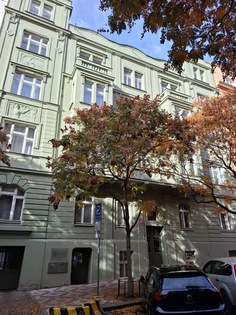 1 bedroom with open-plan kitchen flat to rent, 45 m², U Kanálky, Prague, Prague 1 bedroom with open-plan kitchen flat to rent, 45 m², U Kanálky, Prague, Prague