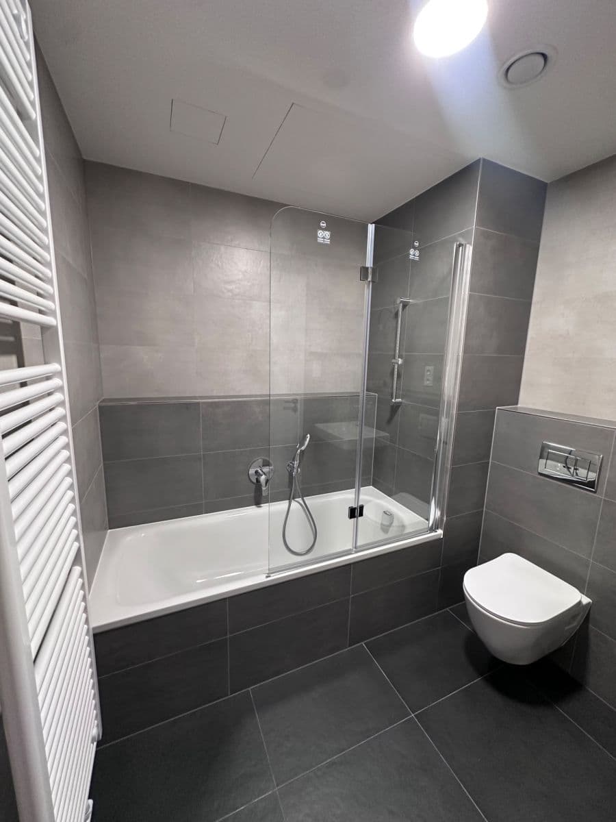 1 bedroom with open-plan kitchen flat to rent, 55 m², Nebřenická, Prague, Prague 1 bedroom with open-plan kitchen flat to rent, 55 m², Nebřenická, Prague, Prague