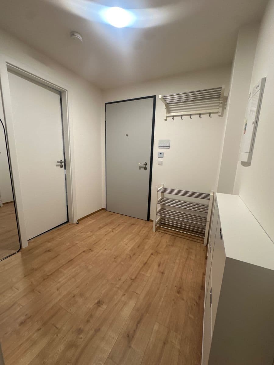 1 bedroom with open-plan kitchen flat to rent, 55 m², Nebřenická, Prague, Prague 1 bedroom with open-plan kitchen flat to rent, 55 m², Nebřenická, Prague, Prague
