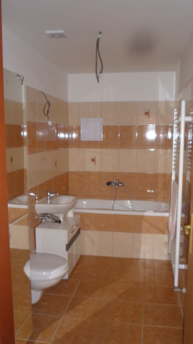 1 bedroom with open-plan kitchen flat for sale, 48 m², Na Chmelnici, Benešov, Středočeský Region 1 bedroom with open-plan kitchen flat for sale, 48 m², Na Chmelnici, Benešov, Středočeský Region