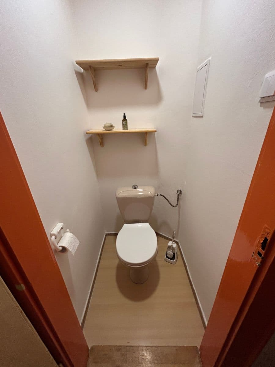 1 bedroom with open-plan kitchen flat to rent, 60 m², U Průhonu, Prague, Prague 1 bedroom with open-plan kitchen flat to rent, 60 m², U Průhonu, Prague, Prague