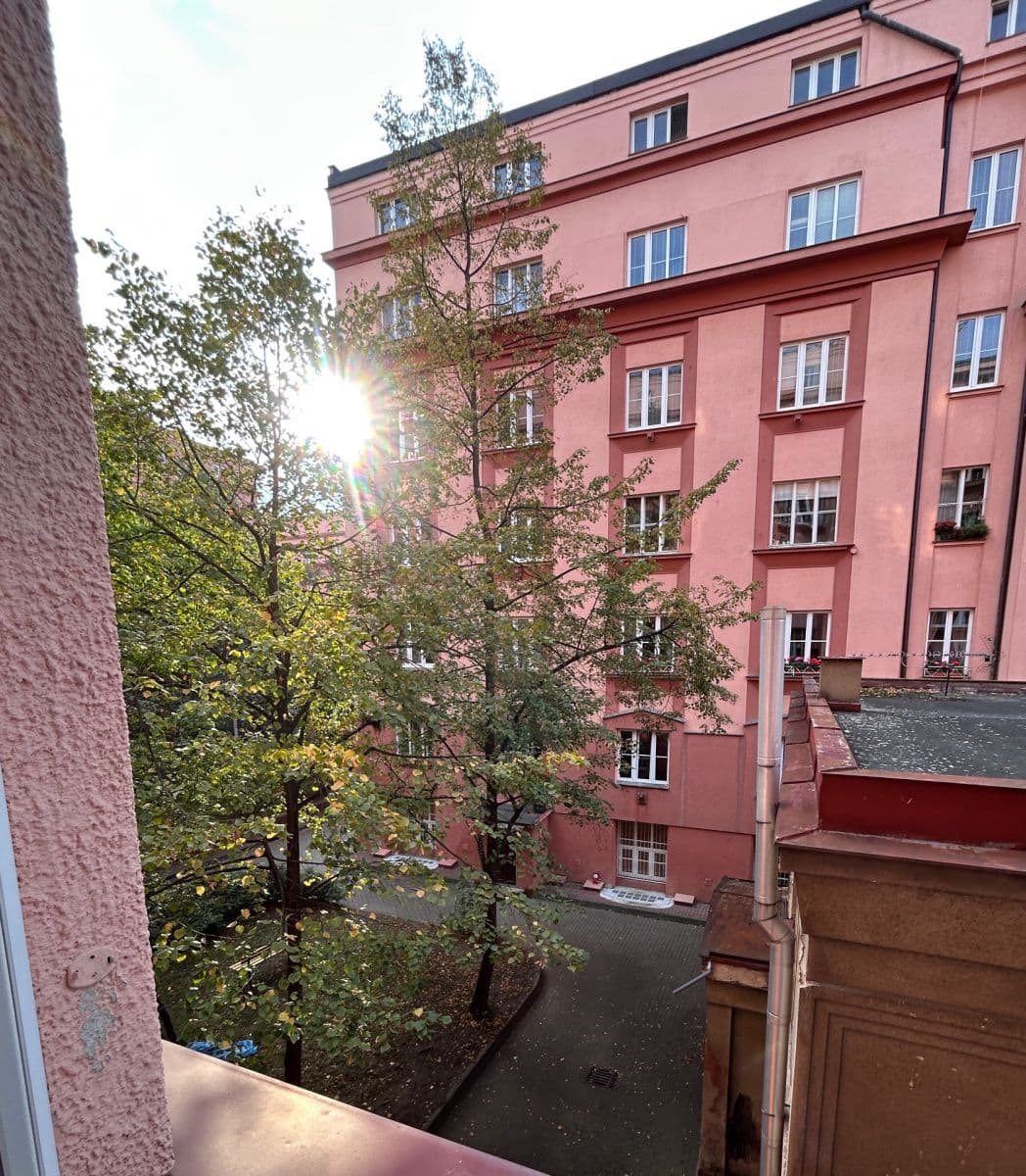 1 bedroom with open-plan kitchen flat to rent, 60 m², U Průhonu, Prague, Prague 1 bedroom with open-plan kitchen flat to rent, 60 m², U Průhonu, Prague, Prague