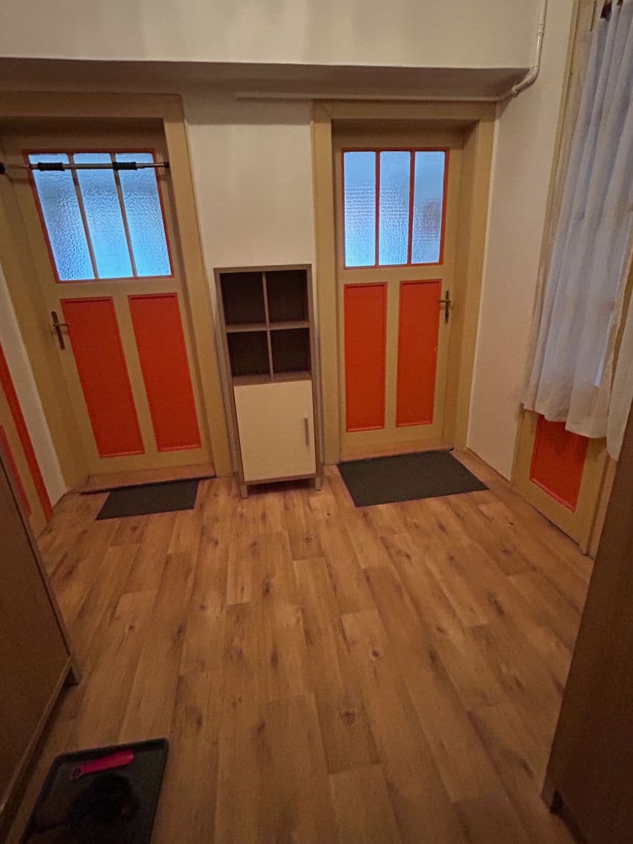 1 bedroom with open-plan kitchen flat to rent, 60 m², U Průhonu, Prague, Prague 1 bedroom with open-plan kitchen flat to rent, 60 m², U Průhonu, Prague, Prague