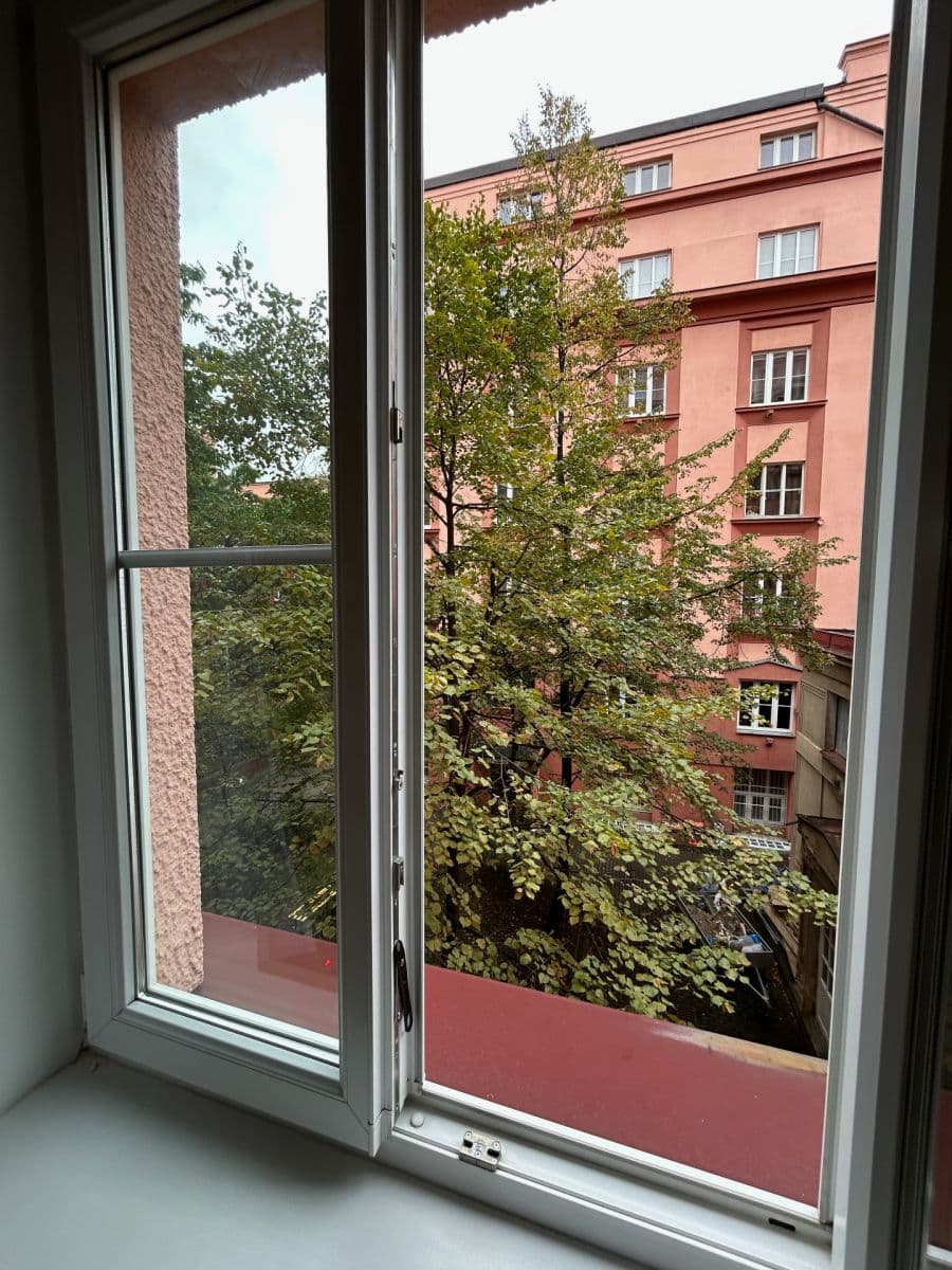 1 bedroom with open-plan kitchen flat to rent, 60 m², U Průhonu, Prague, Prague 1 bedroom with open-plan kitchen flat to rent, 60 m², U Průhonu, Prague, Prague