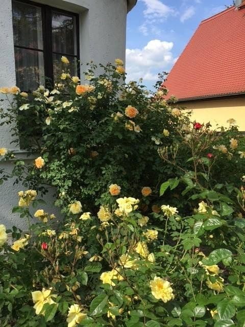 house for sale, 132 m², Weimar, Thuringia house for sale, 132 m², Weimar, Thuringia