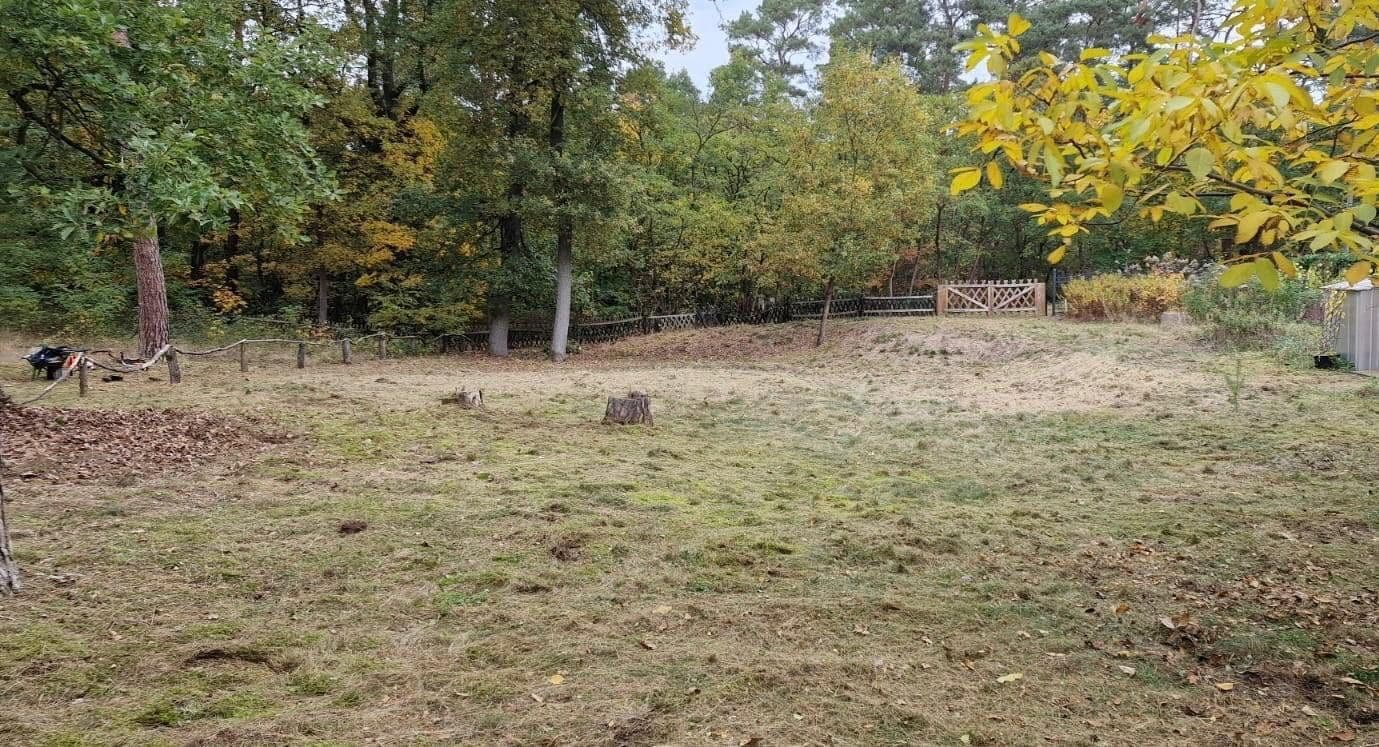 plot for sale, 733 m², Heidesee, Brandenburg plot for sale, 733 m², Heidesee, Brandenburg