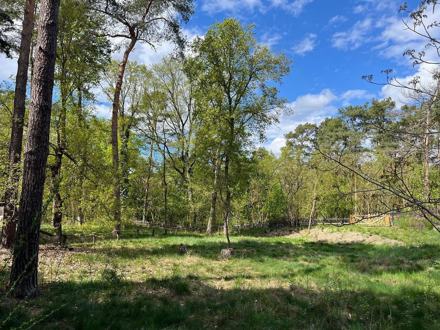 plot for sale, 733 m², Heidesee, Brandenburg plot for sale, 733 m², Heidesee, Brandenburg