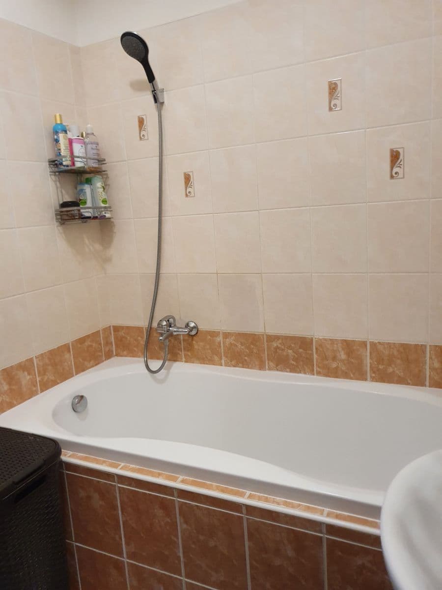 1 bedroom with open-plan kitchen flat to rent, 53 m², Jozefa Gabčíka, Pardubice, Pardubický Region 1 bedroom with open-plan kitchen flat to rent, 53 m², Jozefa Gabčíka, Pardubice, Pardubický Region