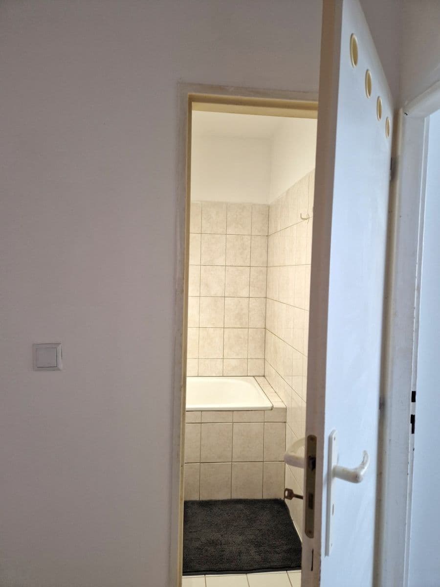 1 bedroom with open-plan kitchen flat for sale, 40 m², Makovského, Prague, Prague 1 bedroom with open-plan kitchen flat for sale, 40 m², Makovského, Prague, Prague