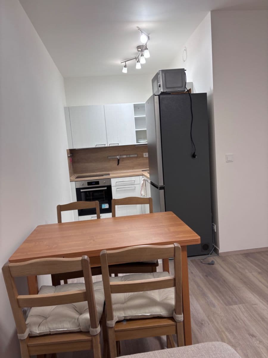 1 bedroom with open-plan kitchen flat to rent, 40 m², Arnošta Staňka, Prague, Prague 1 bedroom with open-plan kitchen flat to rent, 40 m², Arnošta Staňka, Prague, Prague
