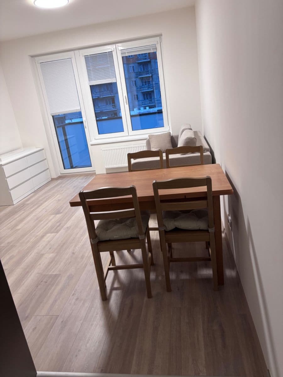 1 bedroom with open-plan kitchen flat to rent, 40 m², Arnošta Staňka, Prague, Prague 1 bedroom with open-plan kitchen flat to rent, 40 m², Arnošta Staňka, Prague, Prague