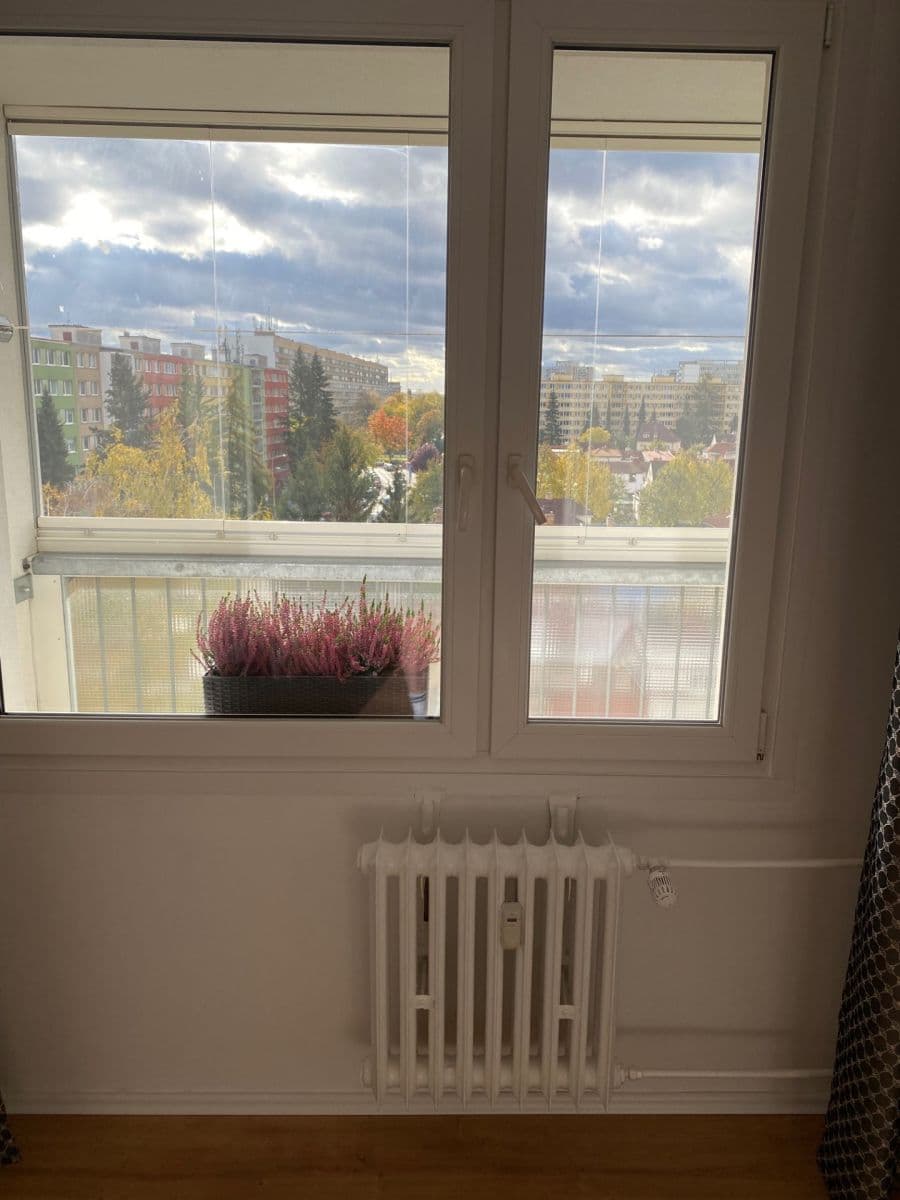 1 bedroom with open-plan kitchen flat to rent, 39 m², Lovosická, Prague, Prague 1 bedroom with open-plan kitchen flat to rent, 39 m², Lovosická, Prague, Prague