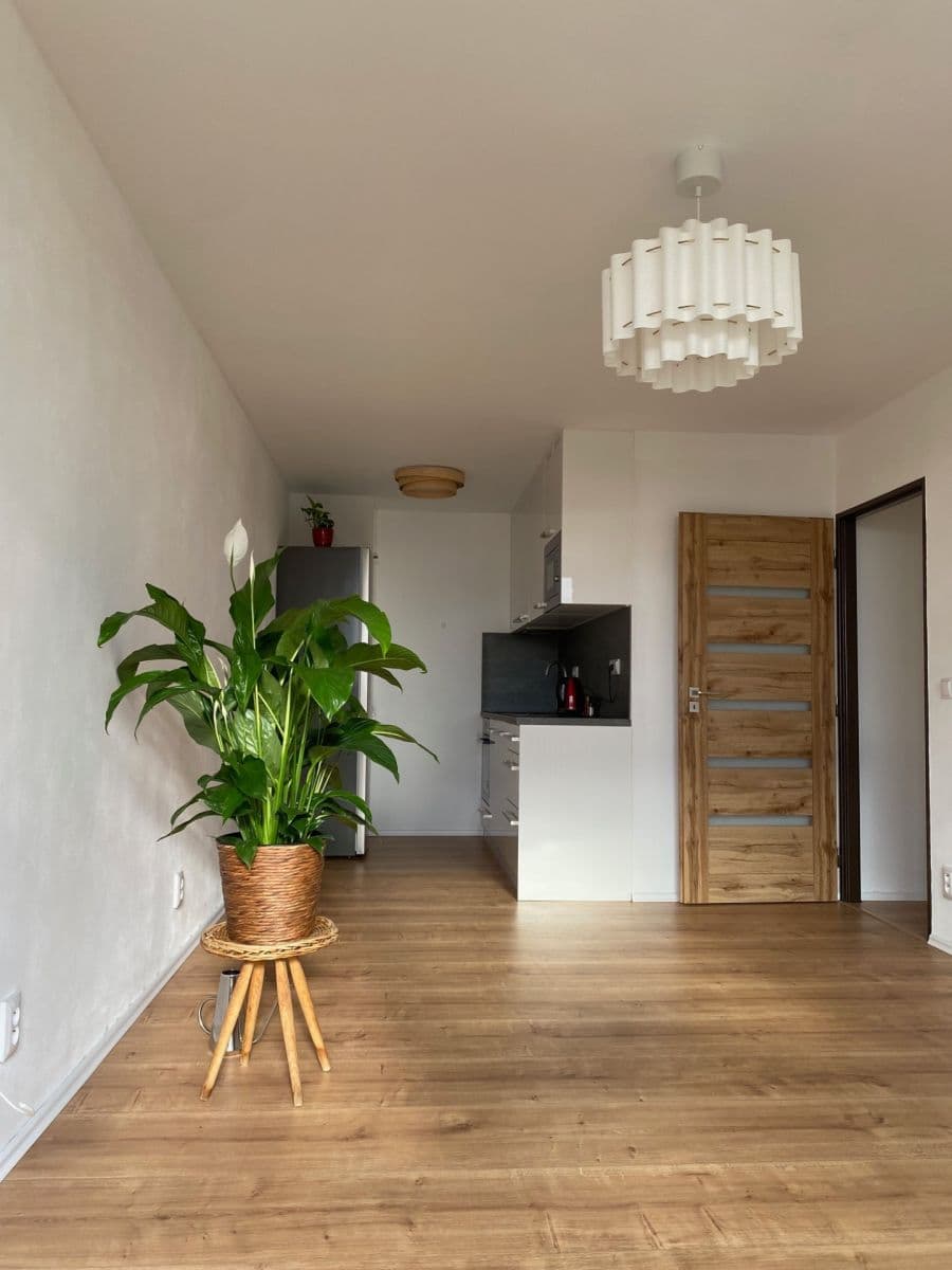 1 bedroom with open-plan kitchen flat to rent, 39 m², Lovosická, Prague, Prague 1 bedroom with open-plan kitchen flat to rent, 39 m², Lovosická, Prague, Prague