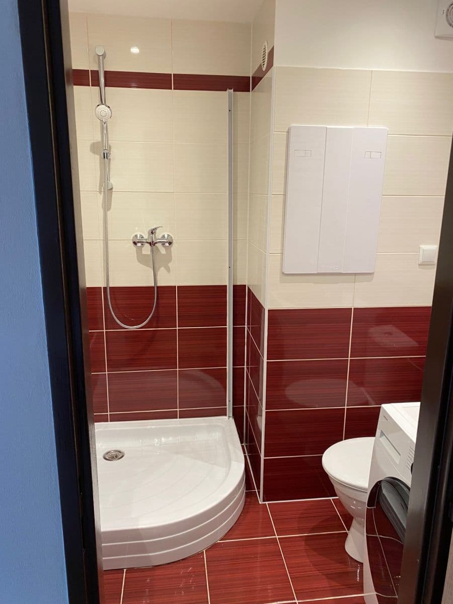 1 bedroom with open-plan kitchen flat to rent, 39 m², Lovosická, Prague, Prague 1 bedroom with open-plan kitchen flat to rent, 39 m², Lovosická, Prague, Prague