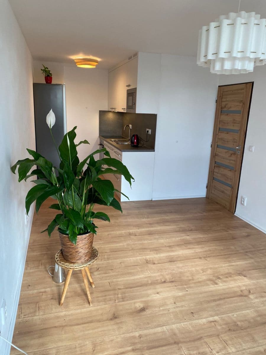 1 bedroom with open-plan kitchen flat to rent, 39 m², Lovosická, Prague, Prague 1 bedroom with open-plan kitchen flat to rent, 39 m², Lovosická, Prague, Prague